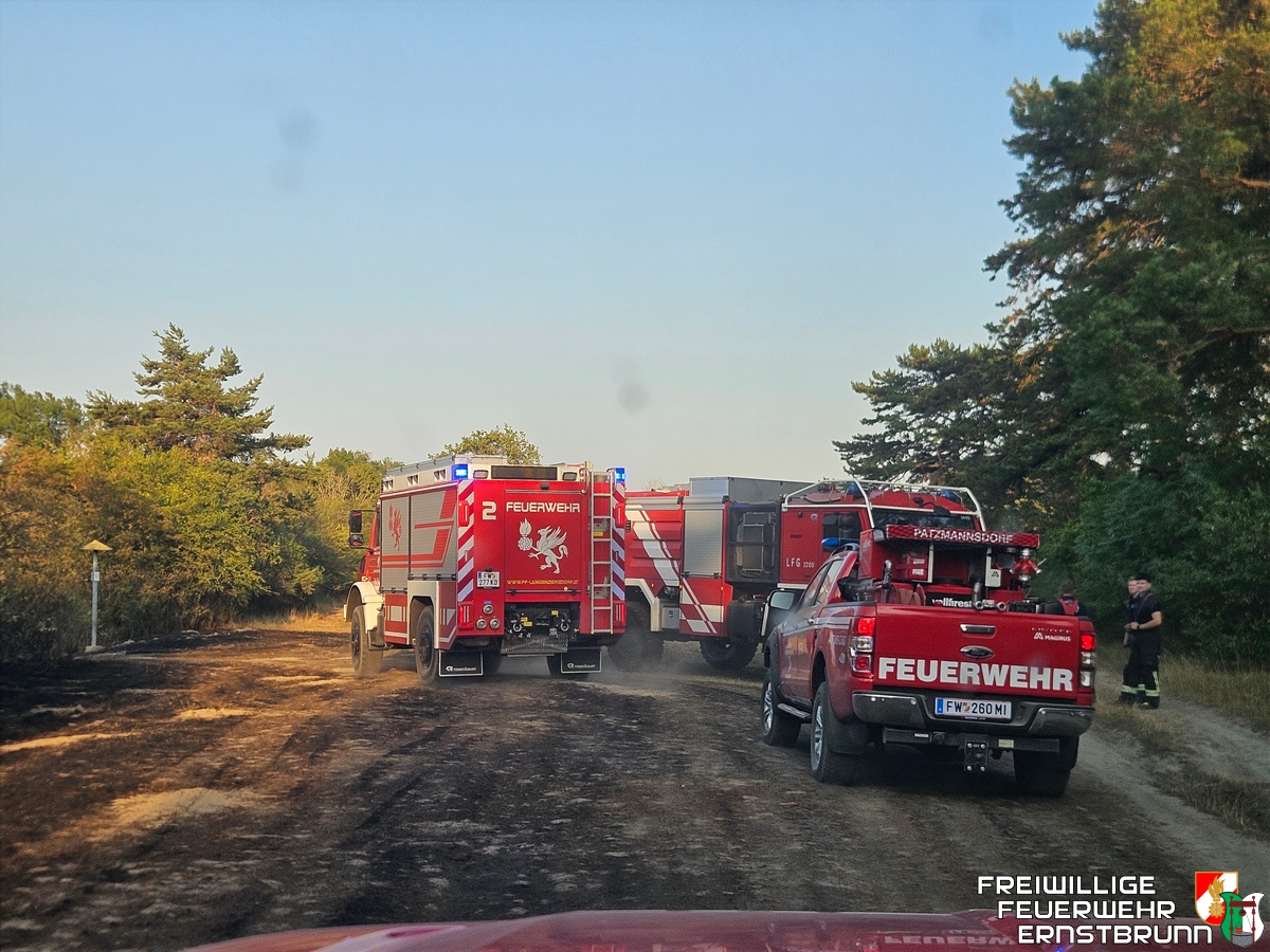 Waldbrandgruppen aus dem Bezirk Korneuburg bei Großbrand in Groß-Enzersdorf im Einsatz